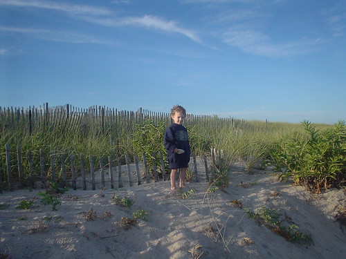 will dunes 2