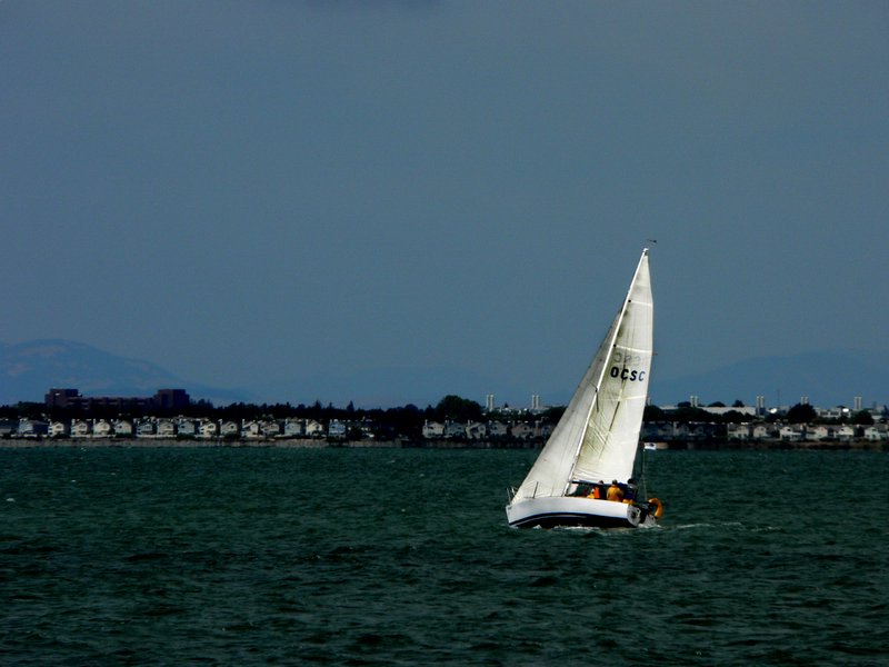 Sailboat in the Bay