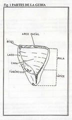 Fig 1.Partes de la gubia