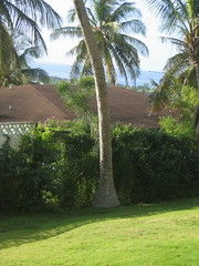 Carib view from yard 2