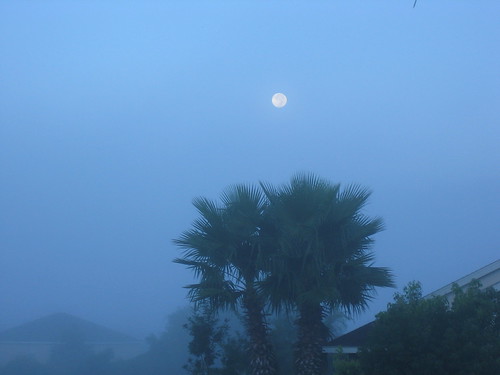 Moon Setting in Fog