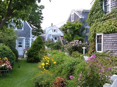 Cozy Cottages in Provincetown