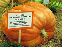 TN State record-setting pumpkin at the State Fair