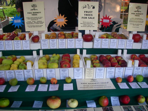 Apple orchard display