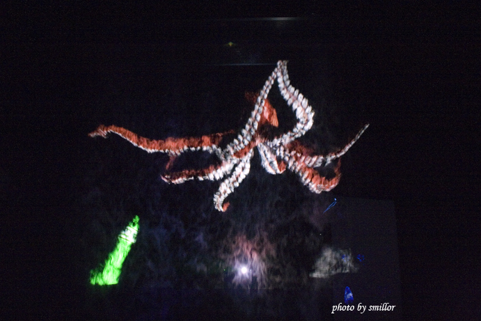 燈光投射在虛幻霧氣所產生的水幕電影 _ 深海八爪章魚