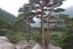 South Korea, Seoraksan National Park