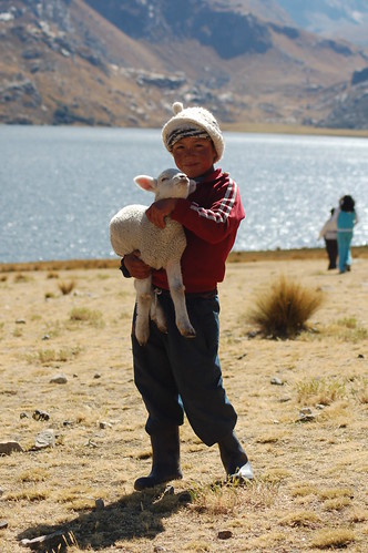 Apadrina un niño peruano