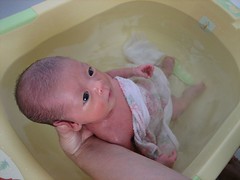 الشرح بالصور كيف تحممين طفلك المولود 262957592_5dd733f94c_m.jpg