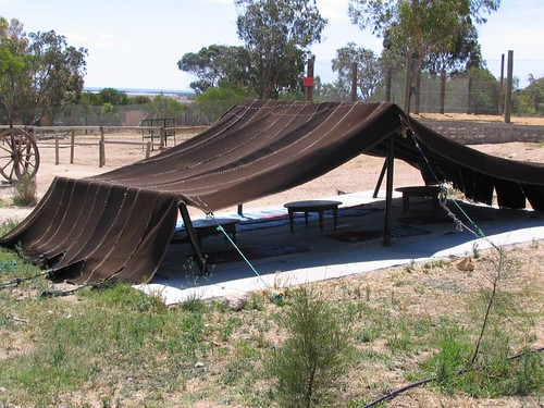 Traditional bedouin tent