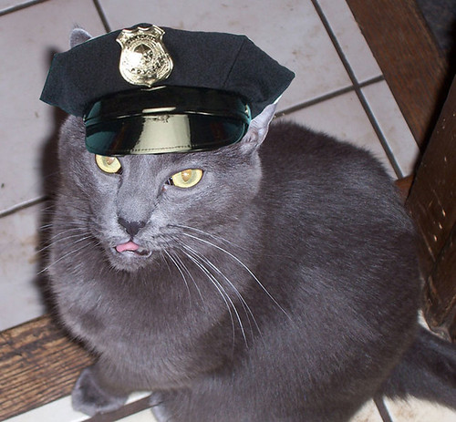 Officer Wobbles