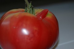 Tomato Two