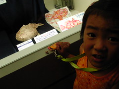 千葉県立中央博物館　企画展　深海のおさかな