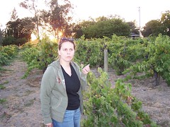 Nat at the vineyard