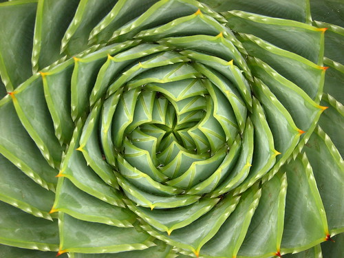 Fibonacci II