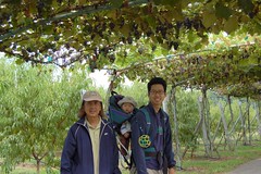 Kung Kung, me, and Daddy under the grapes