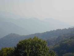 Great Smokey Mountains - on the drive back home