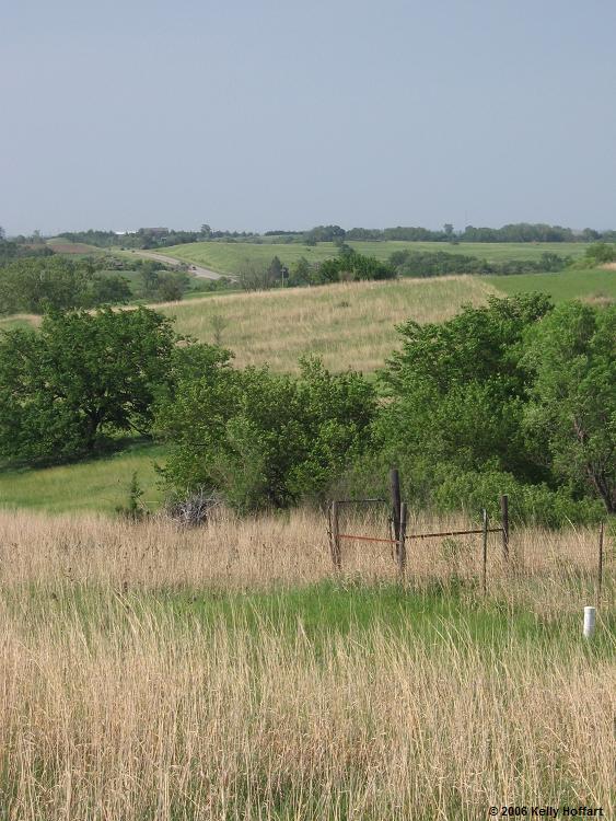 Field Near Denton, Nebraska
