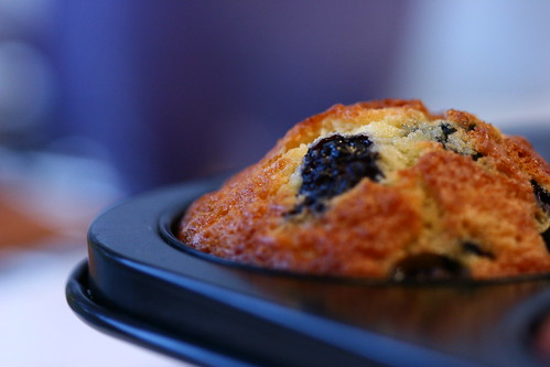 My favorite muffin