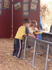 I let my child play in a pig trough