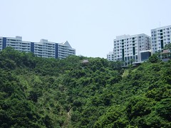 hill view 2