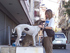 Voluntaria de PETA en Líbano