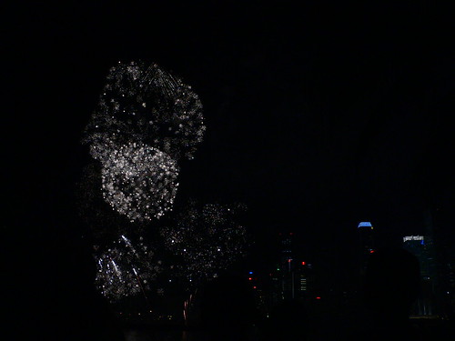Sg Fireworks Festival 3