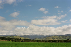 A Wairarapa view