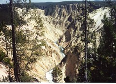 Yellowstone 1992