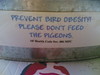 Preventing pigeon obesity