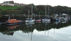 Eyemouth harbour boats