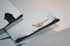bird cards + envelopes