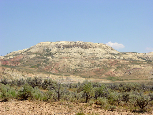 Fossil Butte 02