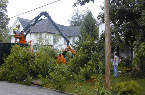 Lee's Tree Service Cleans up.