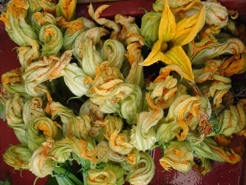 Zucchini flowers