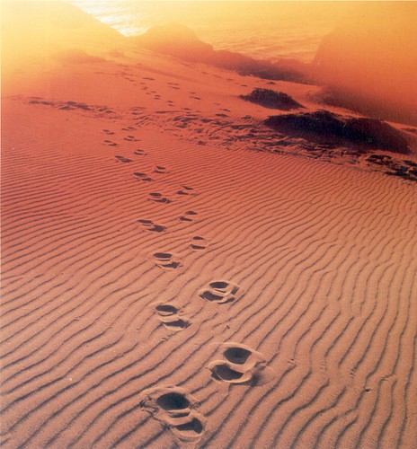 Footprints Picture