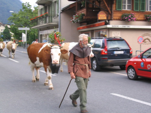 old farmer with his cow