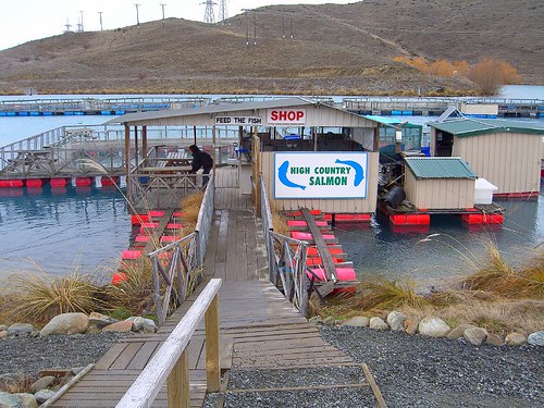 鮭魚養殖區的入口