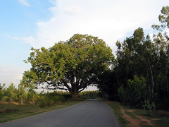 Chikka Tirupathi - Lovely Roads, Nice countryside