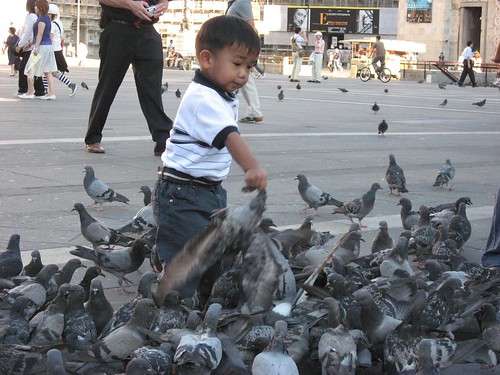 Kid giving a helping hand to the pigeons fly