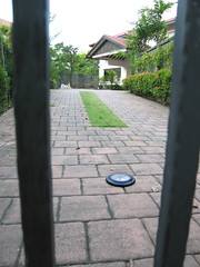 Landmine - Frisbee Campaign in Singapore