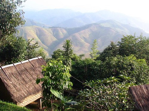 view from bamboo hut.jpg