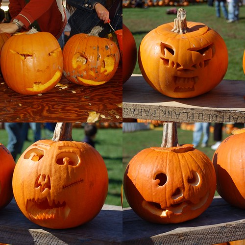 Pumpkin Festival collage