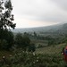 Fields of Rwanda