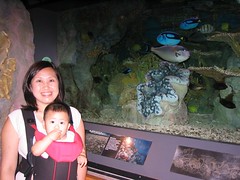 Mommy and me with the giant clam