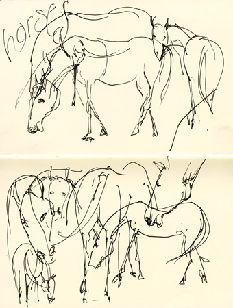 linehorses