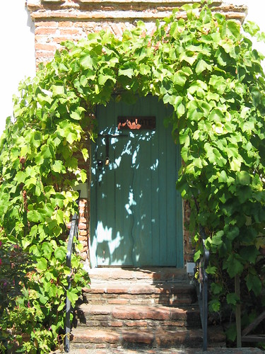 ivyed door