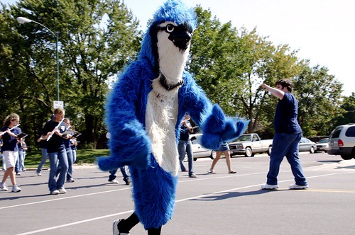 bluejay mascot