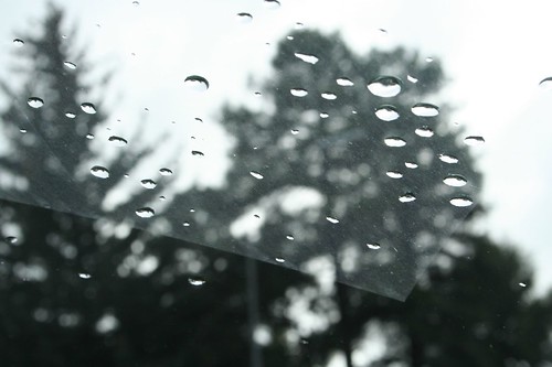 Rainy windshield