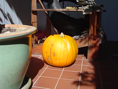 Pumpkin on my doorstep