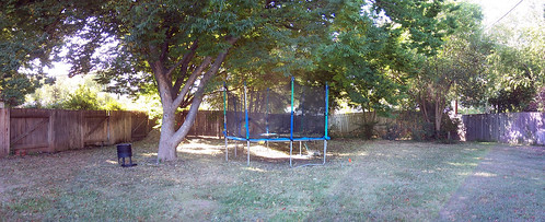 back_yard-old_fence.jpg